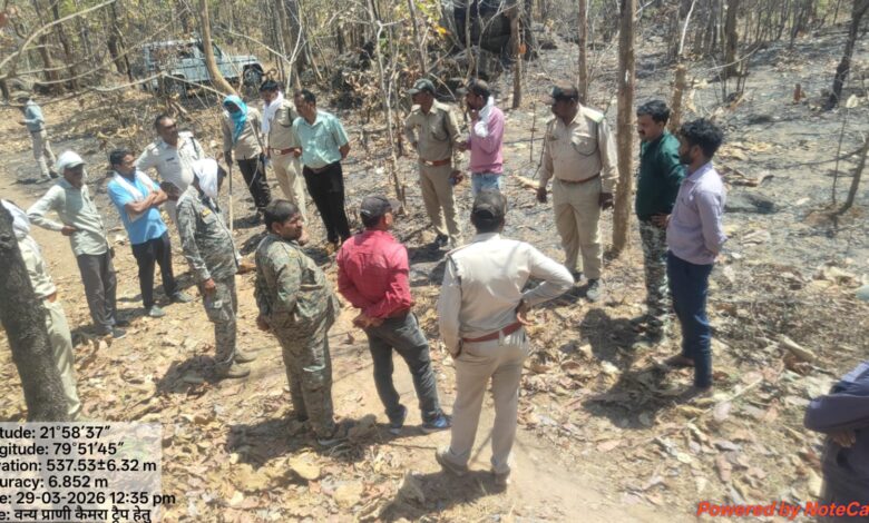 सिवनी बाघ सर्च ऑपरेशन - युवक पर हमले के बाद गांवों में दहशत का माहौल