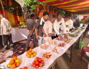 सिवनी पुष्प फल सब्जी महोत्सव - खाद्य प्रसंस्करण अपनाने की प्रेरणा 150 कृषक उपस्थित रहे।