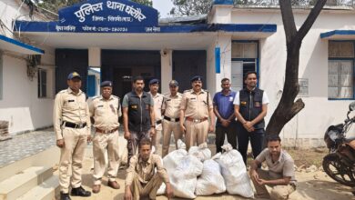 घंसौर गांजा तस्करी नेटवर्क एनसीबी और पुलिस द्वारा 76 किलो गांजा से भरा ऑटो पकड़ा गया, उड़ीसा से मध्यप्रदेश लाया जा रहा था