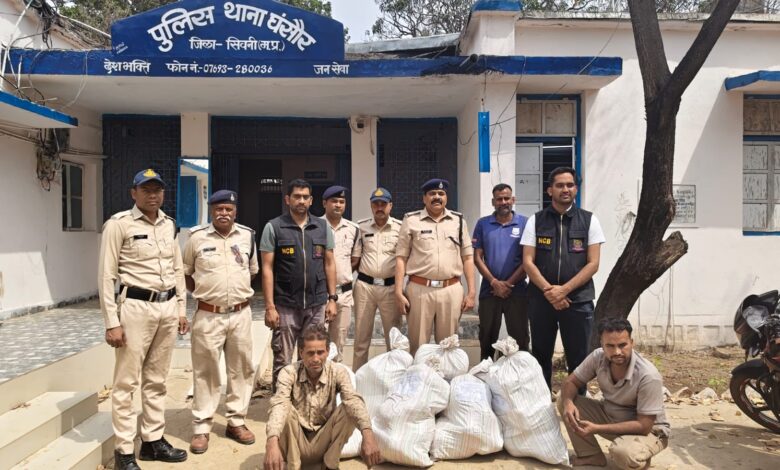 घंसौर गांजा तस्करी नेटवर्क एनसीबी और पुलिस द्वारा 76 किलो गांजा से भरा ऑटो पकड़ा गया, उड़ीसा से मध्यप्रदेश लाया जा रहा था