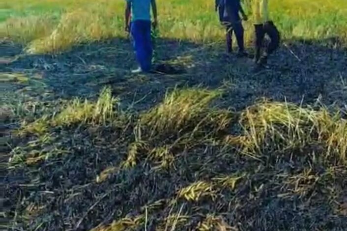 Seoni Wheat Crop Fire