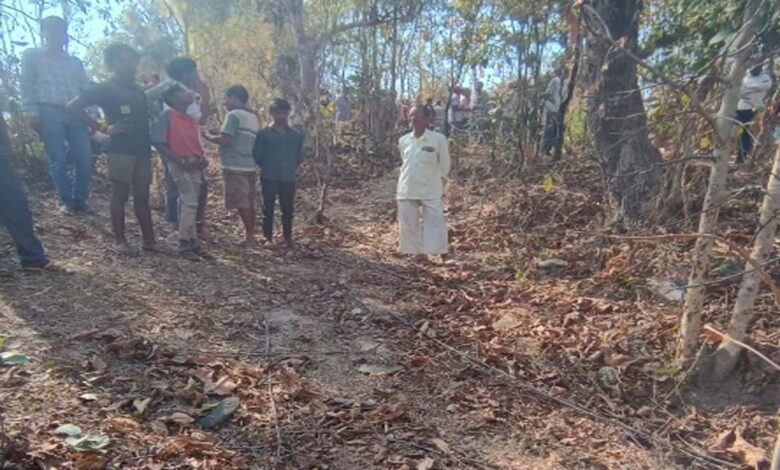 Seoni Tiger Attack: बरघाट क्षेत्र में बाघ के हमले में महिला की मौत के बाद जंगल में वन विभाग की टीम