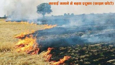 "सिवनी में नरवाई जलाने पर प्रतिबंध आदेश"