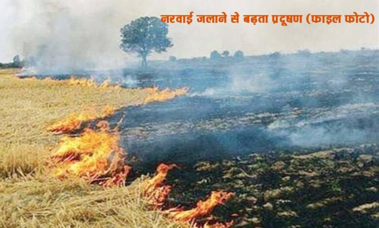 "सिवनी में नरवाई जलाने पर प्रतिबंध आदेश"