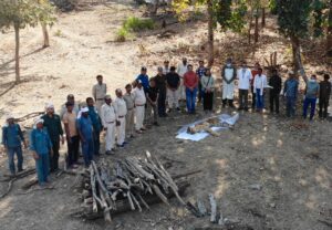 (Pench Tigress PN 20 Death) Pench Tiger Reserve famous Langdi Tigress PN20