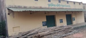 केवलारी DIET परिसर में पेड़ों की कटाई और मोक्षधाम में लकड़ी संकट