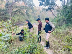 पेंच टाइगर रिजर्व घटना: सिवनी टाइगर