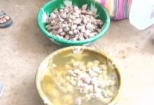 मंडला नसबंदी घोटाला- नसबंदी घोटाला, कुत्तों के अंग बरामद