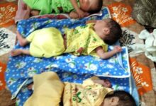 सिंधु हॉस्पिटल सिवनी में तीन बच्चों का सफल जन्म