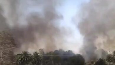 सिवनी आग छपारा में आग से जली गेहूं की फसल और खेत का दृश्य