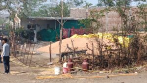 छपारा में आग से जली गेहूं की फसल और खेत का दृश्य