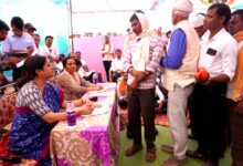 कलेक्टर नेहा मीना चौपाल सिवनी - कलेक्टर का ग्राउंड एक्शन