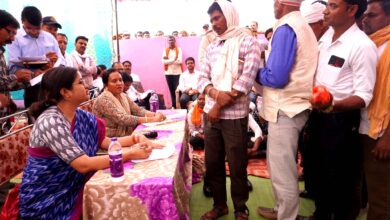 कलेक्टर नेहा मीना चौपाल सिवनी - कलेक्टर का ग्राउंड एक्शन