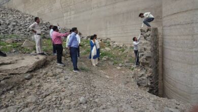 जल संकट मध्यप्रदेश, भीमगढ़ जलाशय में सिल्ट जमा