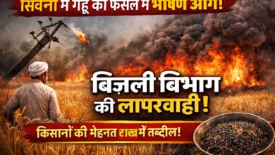 बिजली विभाग की लापरवाही से फसल जली -