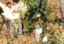 рдкреЗрдВрдЪ рдЯрд╛рдЗрдЧрд░ рд░рд┐рдЬрд░реНрд╡ рдмрд╛рдШ рд╣рдорд▓рд╛ рдХреЗ рдмрд╛рдж рдЬрд╛рдВрдЪ рдХрд░рддреА рд╡рди рд╡рд┐рднрд╛рдЧ рдЯреАрдо