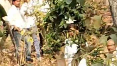 पेंच टाइगर रिजर्व बाघ हमला के बाद जांच करती वन विभाग टीम