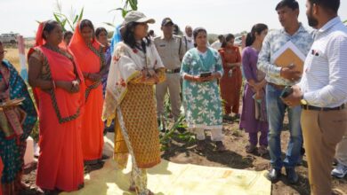 सिवनी के बिछुआ गांव में बगिया मां के नाम योजना के तहत पौधरोपण का निरीक्षण करती कलेक्टर शीतला पटले