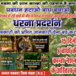 मंडला का कान्हा पार्क खतरे में? बाघों की मौत पर पत्रकारों का आंदोलन | Dainik Yashonnati dead tiger kanha national park kisli range mandla tiger death protest