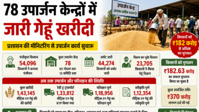 सिवनी गेहूं उपार्जन 2026 - जिले में समर्थन मूल्य पर गेहूं उपार्जन की जानकारी दर्शाता Bhaskar शैली का न्यूज बैनर, जिसमें 78 उपार्जन केन्द्र, 1.43 लाख मीट्रिक टन खरीदी और 182 करोड़ रुपये भुगतान दिखाया गया है
