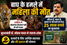 बांधवगढ़ नेशनल पार्क में बाघ हमले के बाद प्रशासनिक टीम