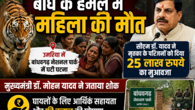 बांधवगढ़ नेशनल पार्क में बाघ हमले के बाद प्रशासनिक टीम