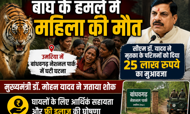बांधवगढ़ नेशनल पार्क में बाघ हमले के बाद प्रशासनिक टीम