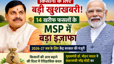 केंद्र सरकार द्वारा MSP वृद्धि की घोषणा का प्रतीकात्मक दृश्य