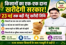 जिला अध्यक्ष किसान मोर्चा भाजपा प्रदीप राय का बयान, 23 मई तक बढ़ी गेहूं खरीदी तिथि, किसानों का एक एक दाना खरीदेगी सरकार