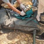 कान्हा में बाघों की मौत पर पर्दा? ‘प्रेस नोट’ की खामोशी में दबते सवाल | Dainik Yashonnati कान्हा बाघ मौत फोटो - कान्हा टाइगर रिजर्व में बाघों की मौत के बाद का दृश्य