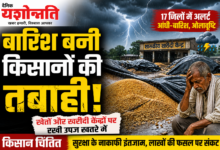 MP Weather Alert - मध्यप्रदेश बारिश से किसानों की फसल खतरे में