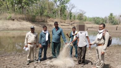 पेंच टाइगर रिजर्व में अवैध मछली शिकार के मामले में कार्रवाई करती वन विभाग की टीम।
