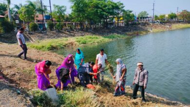 सिवनी के दलसागर तालाब में चल रहा स्वच्छता एवं जलकुंभी हटाने का अभियान