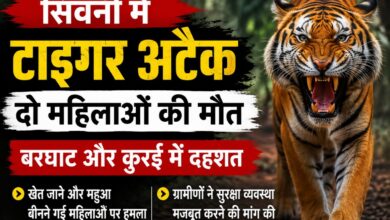 सिवनी में टाइगर अटैक के बाद दहशत का प्रतीकात्मक दृश्य