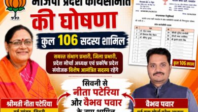 भाजपा प्रदेश कार्यसमिति सदस्य बनीं नीता पटेरिया और वैभव पवार