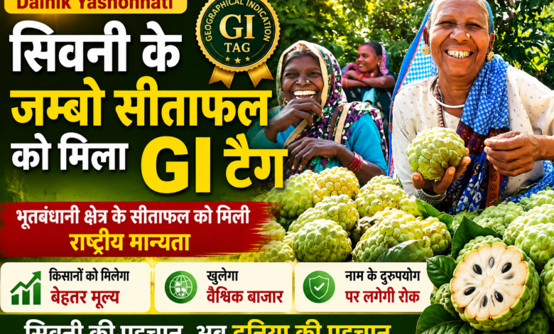 GI Tag प्राप्त करने वाला सिवनी जम्बो सीताफल, किसानों के लिए नई पहचान और बेहतर बाजार मूल्य का अवसर