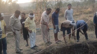 कुएं में गिरे 7 जंगली सुअरों का सफल रेस्क्यू | Dainik Yashonnati कन्हान पिपरिया में कुएं में गिरे 7 जंगली सुअरों का वन विभाग और ग्रामीणों द्वारा रेस्क्यू करते हुए दृश्य