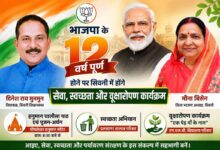 भाजपा के 12 वर्ष पूर्ण होने पर सिवनी में सेवा, स्वच्छता और वृक्षारोपण कार्यक्रम का पोस्टर, जिसमें नरेंद्र मोदी, दिनेश राय मुनमुन और मीना बिसेन