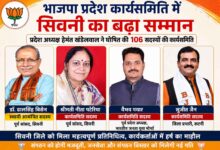 भाजपा प्रदेश कार्यसमिति सदस्य बनीं नीता पटेरिया और वैभव पवार