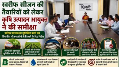 सिवनी में खरीफ सीजन 2026 की तैयारियों की समीक्षा करते कृषि उत्पादन आयुक्त की वीडियो कॉन्फ्रेंस बैठक