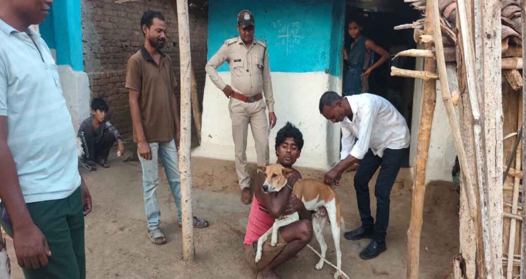पेंच टाइगर रिजर्व के बफर क्षेत्र में कैनाइन डिस्टेंपर रोकथाम अभियान के तहत कुत्तों का टीकाकरण करते वन विभाग और पशु चिकित्सा दल