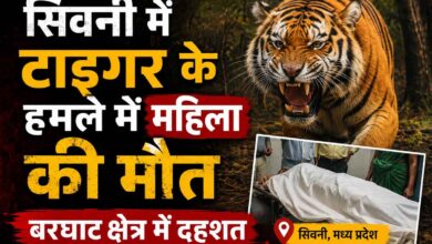 टाइगर हमले के बाद मौके पर मौजूद ग्रामीण