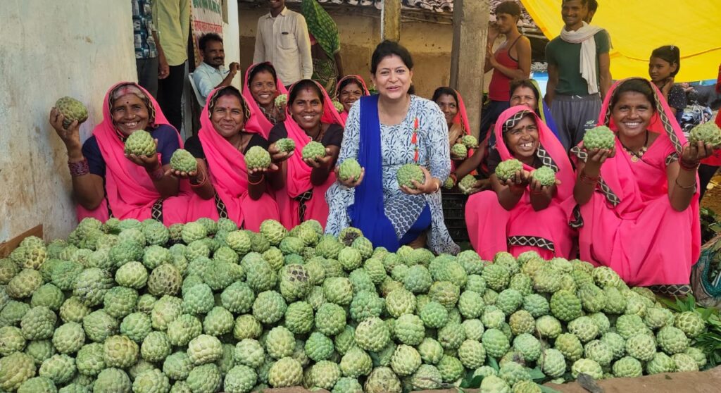 GI Tag प्राप्त करने वाला सिवनी जम्बो सीताफल, किसानों के लिए नई पहचान और बेहतर बाजार मूल्य का अवसर