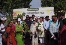 बबरिया तालाब परिसर में विश्व पर्यावरण दिवस पर “एक पेड़ माँ के नाम” अभियान के तहत पौधरोपण करते जनप्रतिनिधि और अधिकारी