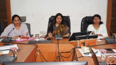 कलेक्टर नेहा मीना समीक्षा बैठक