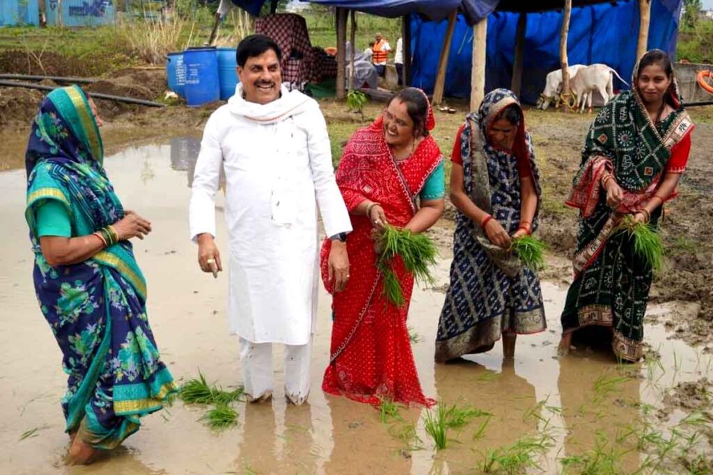 खेत में उतरे CM मोहन यादव, किसानों संग रोपा धान, सिवनी पर बरसी ₹494 करोड़ की विकास सौगात | Dainik Yashonnati मुख्यमंत्री डॉ. मोहन यादव सिवनी में धान महोत्सव के दौरान महिला किसानों के साथ खेत में धान की रोपाई करते हुए।
