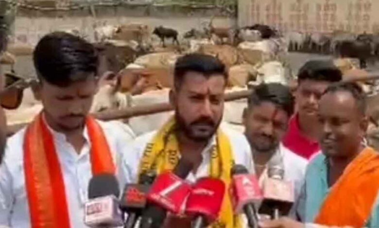 छिंदवाड़ा की आदर्श गौशाला पाठाढाना का दृश्य