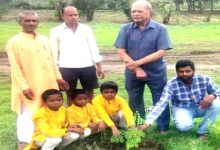 छिंदवाड़ा के चारगांव करबल में एकल अभियान द्वारा 2000 फलदार पौधों के वितरण एवं वन यात्रा कार्यक्रम।