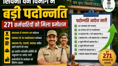 वन वृत्त सिवनी कार्यालय द्वारा जारी पदोन्नति आदेश 2026