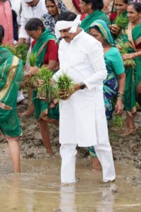 खेत में उतरे CM मोहन यादव, किसानों संग रोपा धान, सिवनी पर बरसी ₹494 करोड़ की विकास सौगात | Dainik Yashonnati मुख्यमंत्री डॉ. मोहन यादव सिवनी में धान महोत्सव के दौरान महिला किसानों के साथ खेत में धान की रोपाई करते हुए।